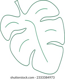 Elemento vectorial de la planta hoja de contorno de Montsera