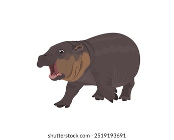 Moo Deng hippopotamus on white background.