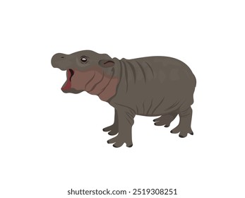 Moo Deng hippopotamus on white background.