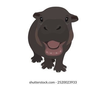 Moo Deng hippopotamus on white background.