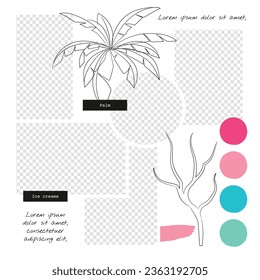 Mood board background. Photo collage layout. Moodboard template. Mosaic pictures album grid. Scrapbook images. Vector illustration. Poster design with colour palette and quote. photomontage frames