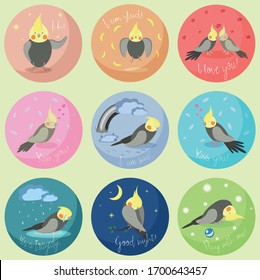 Mood of cockatiel Poncho graphic illustration