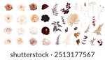 Moody boho trendy vector design floral big set. Peachy orange and blush rose, burgundy red dahlia and rose, dark anthurium, blush protea, brown dried plants. Wedding decoration. Isolated and editable