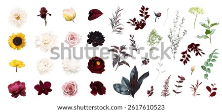 Moody boho trendy vector design floral big set. Pink blush rose, burgundy red dahlia, dark peony, yellow sunflower, iris, tulip, orchid, dahlia, greenery. Wedding decoration. Isolated and editable