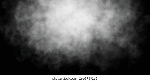 A moody scene where fog wraps the world in cool gray tones

