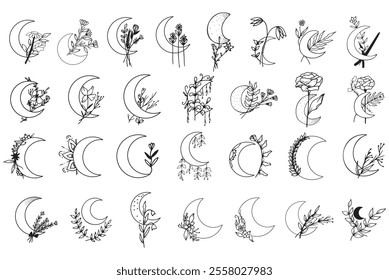 moon botanical pen drawing set
