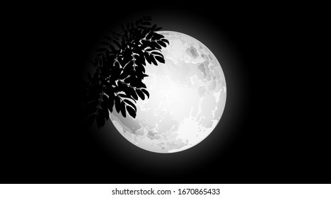 Moon. Branch tree on background of full moon. Vector illustration.