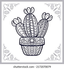 moon cactus plant zentangle arts, isolated on white background