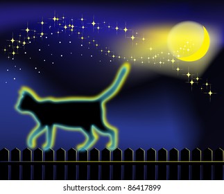 moon cat