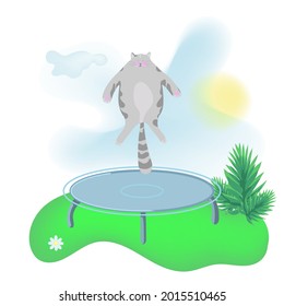 Moon cat is doing fitness outdoors, jumping on a trampoline.