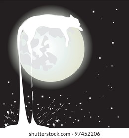 moon  cat white on black background