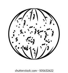 moon climate night isolated icon vector illustration design