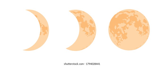 Moon cycle from month to full moon isolated on white background for design. Flat vector stock illustration as endpoint of astronomy, astrology, lunar cycle, accultism, science