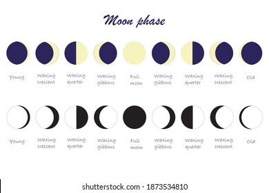 Moon cycle scheme. Everything moon phases yang waxing crescent waxing quarter waxing gibbous full moon old stock vector illustration for web, for print, for nature education