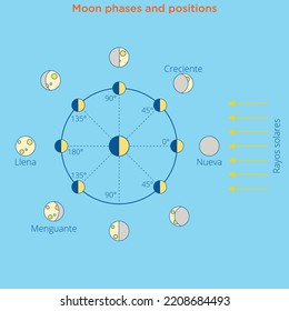 Moon Cycle Vector Illustration Diagram Poster With All Moon Phases From New To Full Moon And Waning, Waxing, Quarter Stages. Scene On Cosmos Background.