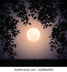 Moon Framed By Branches. Landscape With Tall Grass On Starry Night