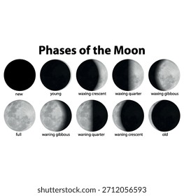 luna, luna llena, icono, astrología, 