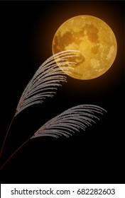Moon Full Moon Late Autumn Background