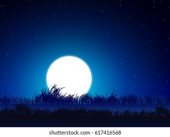 moon and grass