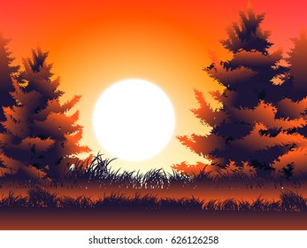 moon and grass in pine wood at evening