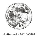 Moon hand drawn vector illustration.