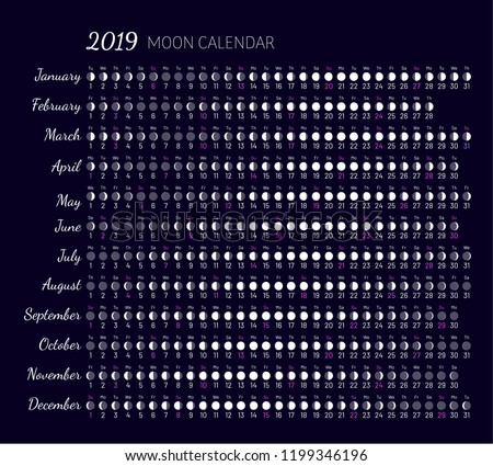 Moon Illumination Moon Age 2019 Year Stock Vector (Royalty 
