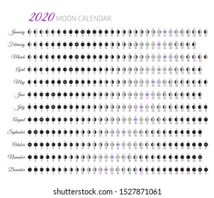 Moon illumination and moon age at 2020 year. Daily planner of lunar cycles. Moon stages calendar on white background. Dates for full, new moon and every phase in between vector illustration.