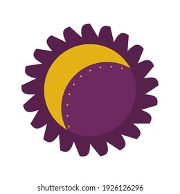 The moon is inside the sun with the rays isolated on a white background. Vector illustration for the design of divination, palmistry, mysticism and esotericism