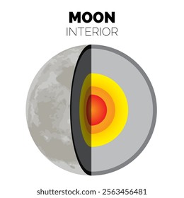 Moon Interior or Layers of the Moon with Inner Core, Outer Core, Lower Mantle, Upper Mantle and Crust Isolated Illustration