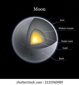 Moon layers realistic composition with isolated profile view image of grey moon with attached text captions vector illustration
