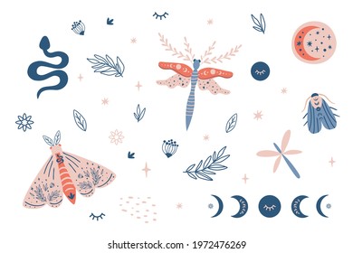 Moon Moth Clipart, Celestial Butterfly, Moth, Moon Phases Kids Set, Snake, Insects, Botany Elements