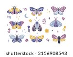 Moon moth vector illustration set. Celestial butterfly with moon phases. Mystical floral insect clipart on white background. Design for poster, magic card, t shirt print, sticker.