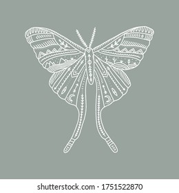 Moon moth. Wildlife concept. Boho tattoo art, fantasy ethnic style. Ornate insect. Vector illustration.