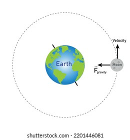 la luna se mueve en una órbita circular alrededor de la ilustración vectorial del diagrama de la Tierra sobre fondo blanco.