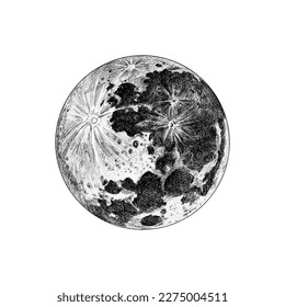 Moon. Natural satellite. Astronomical galaxy space. Engraved hand drawn in old sketch, vintage style for label.