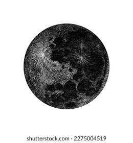 Moon. Natural satellite. Astronomical galaxy space. Engraved hand drawn in old sketch, vintage style for label.