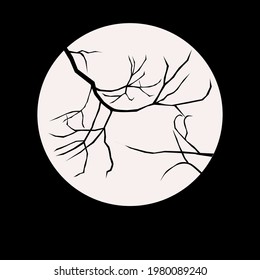 La luna de noche y las ramas