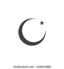 Moon night graphic design template vector isolated