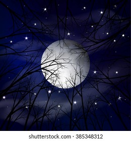 Moon night landscape. Vector illustration. Night forest