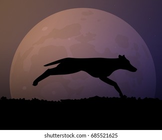 Moon in the night. Silhouette black wild dog vector illustration. Beautiful sky violet color.