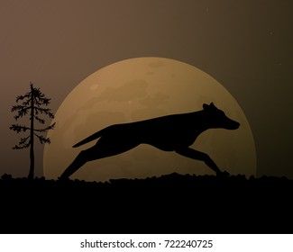 Moon in the night. Silhouette black wolf vector illustration. Magic sky.