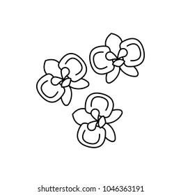 Moon orchid icon. Outline moon orchid vector icon for web design isolated on white background