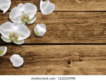 Moon orchid on natural brown wooden background top view. Flower close up on wood texture table. Vector illustration.