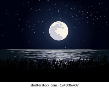 moon over sea vector night wallpaper