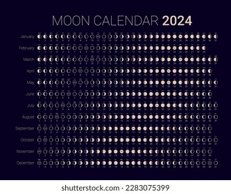 Moon phase cycle 2024 year astrological calendar design template. Lunar monthly cycle planner banner, poster template, moon schedule calendar at night sky background vector illustration