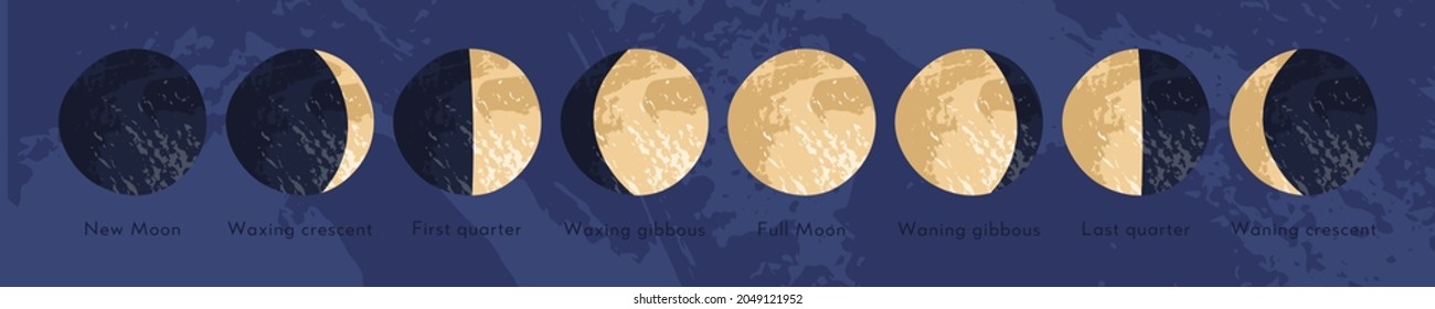 Moon phase, lunar cycle, synodic month. Lunary visible side. New and full moon, waxing and waning crescent, first and last quarter, gibbous. Astronomy, astrophysics. Vector flat cartoon illustration