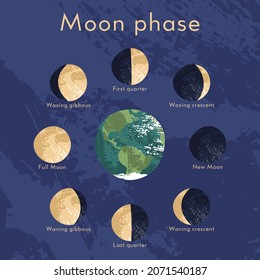 Moon phase, lunar cycle, synodic month. Lunary visible side. New and full moon, waxing and waning crescent, first and last quarter, gibbous. Astronomy, astrophysics. Vector flat cartoon illustration
