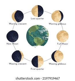 Moon phase, lunar cycle, synodic month. Lunary visible side. New and full moon, waxing and waning crescent, first and last quarter, gibbous. Astronomy, astrophysics. Vector flat cartoon illustration