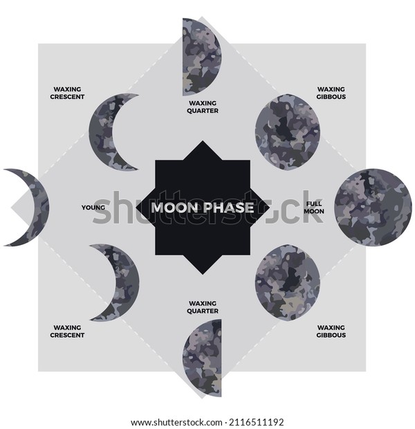 Moon
phase. Textured surface of the moon. Lunar phases throughout the
cycle. Crescent type design. Astronomical observation of the
earth's satellite for a month. Vector
illustration