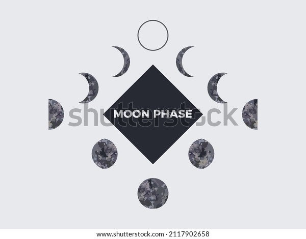 Moon\
phase. Textured surface of the moon. Lunar phases throughout the\
cycle. Crescent type design. Astronomical observation of the\
earth\'s satellite for a month. Vector\
illustration